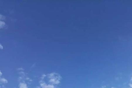 天空下着霜是谁唱的
