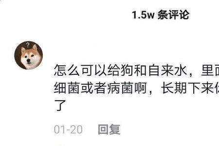你说的对评论区的幽默回复