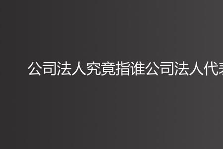 法人和主要负责人谁的责任更大