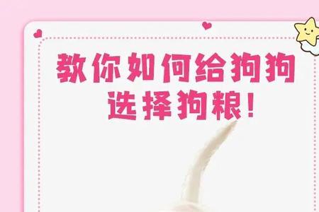 你给的狗都不要什么意思