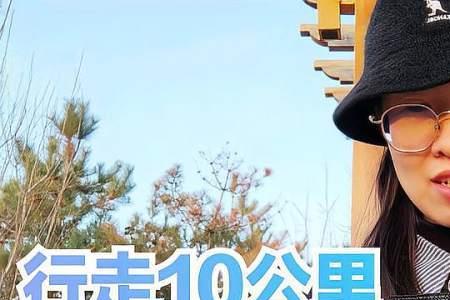暴走10公里是多少步
