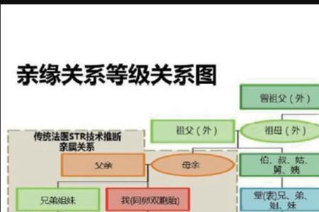 什么可以血缘关系