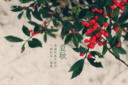 立伏节气图片
