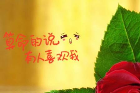 9开头的成语关于爱情有哪些