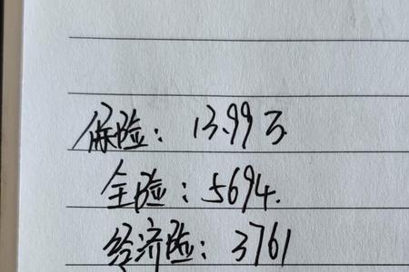 养两个车一年需要多少费用
