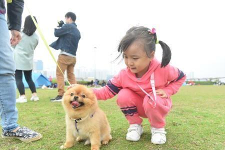 小狗在公园的草坪玩耍扩句
