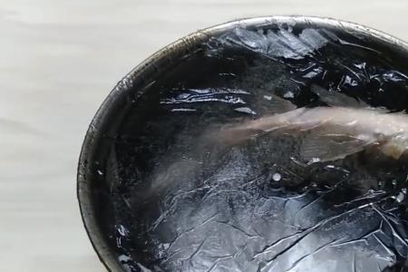 鱼放在冰箱里怎么变绿