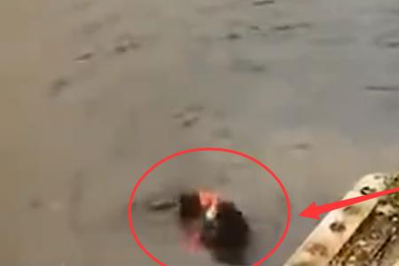 人是怎么淹死的