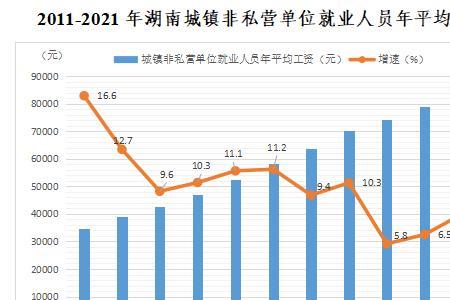 2020年湖南省城镇非私营单位