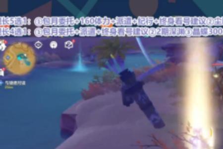 原神切片什么意思