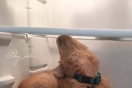 热死宝宝了是什么意思