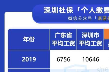 中石油哪一年开始个人交社保的