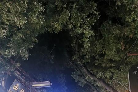 西安夏天晚上哪里适合开车兜风