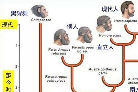 最远古时代是什么时候开始
