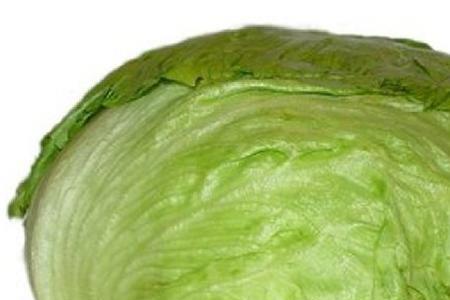 西生菜和唐生菜的区别