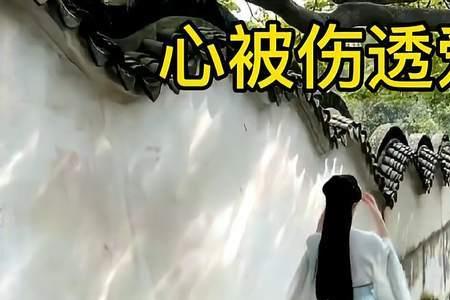 心被伤透爱难留句子
