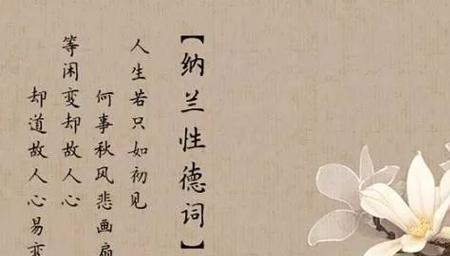 若只的意思是什么