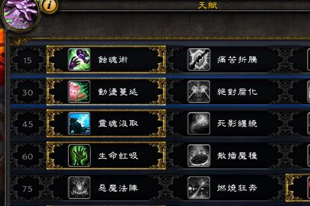 国服第一痛苦术士天赋
