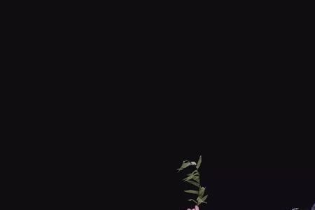戏曲还魂剧情介绍