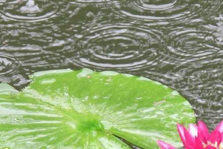 七月份雨要下多久