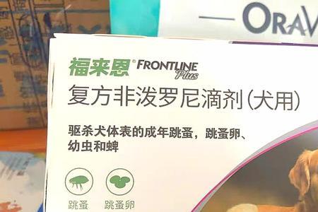 母犬哺乳期能驱虫吗