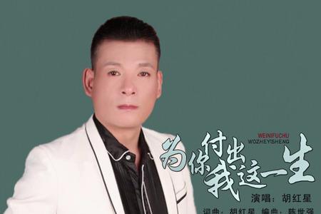 为你付出很多很多什么歌