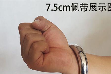 铁线拳真的要铁环吗