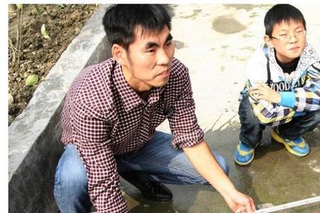 鲶鱼能不能放到一般鱼塘里
