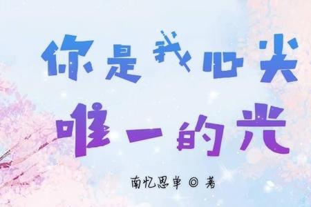 你是我眼睛唯一的光名言