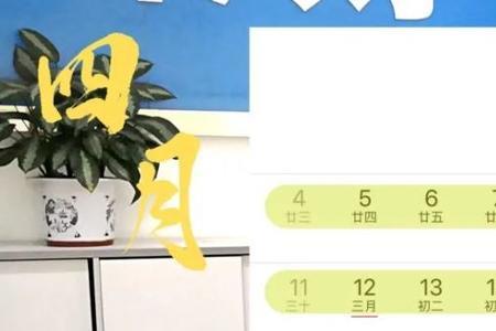 2021年小学生周三下午休息吗