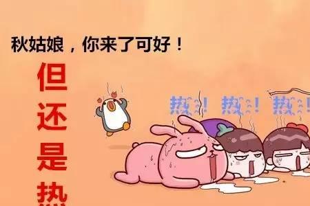 今年全国热死多少人