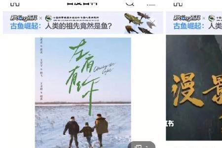 漫影寻踪什么时候开看