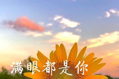满眼都是自己20岁的影子出自哪里