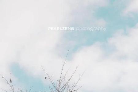 霜雪落满头也算共白首啥意思