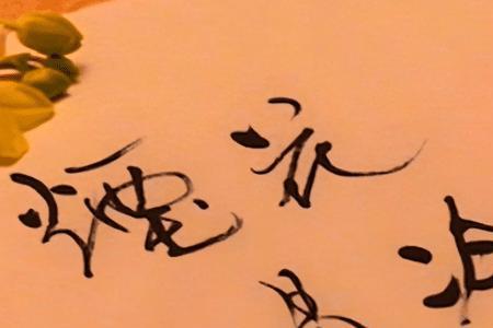 烟花易冷下一句是什么