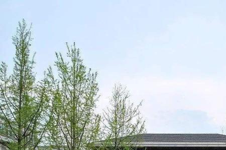 天府集团是国企吗