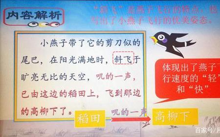 燕子课文中描写燕子飞翔的句子