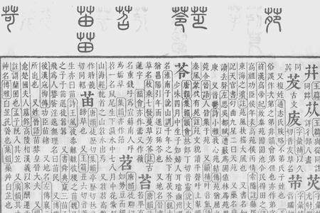不为苛急的苛什么意思