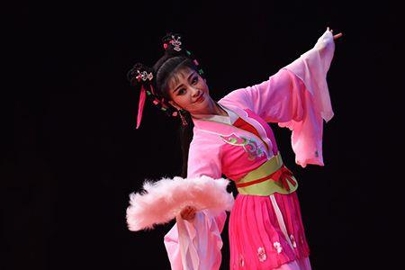 全国有多少专业黄梅戏剧团