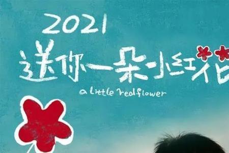 一朵小红花读后感