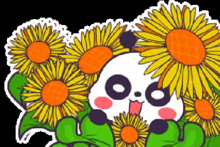 牵挂范虹的结局
