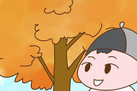 孩子记性好适合学什么