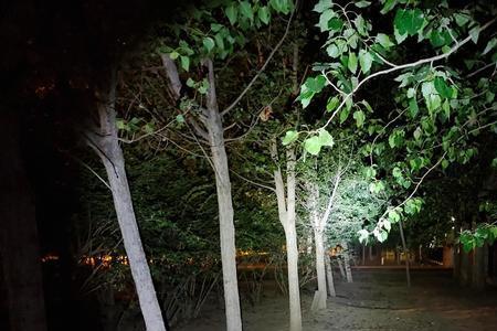 你的前方有我来照亮怎么回答