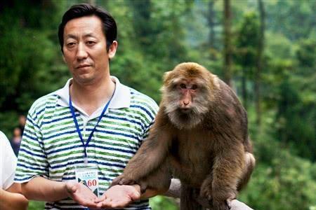 猴子最害怕平行线为什么