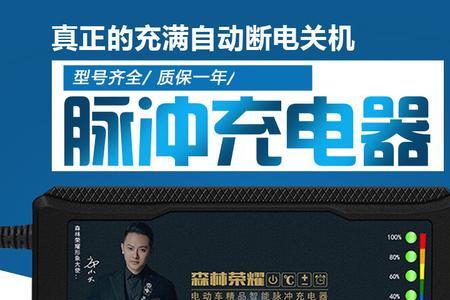 脉冲修复充电器有用吗