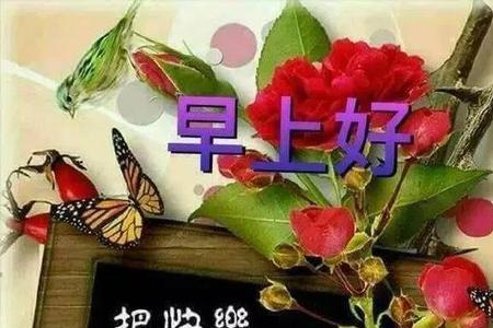 岁月在变 问候不变是什么意思