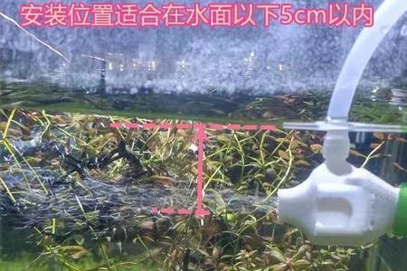 森森鱼缸鸭嘴怎么改装增氧