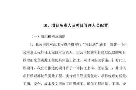 业主单位项目负责人任职要求