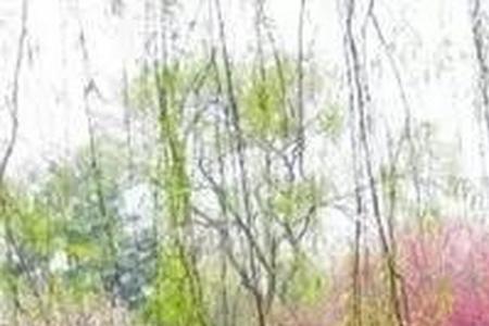 细雨霏霏寒意微微粤语版