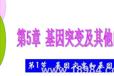 遗传基因对后代的影响